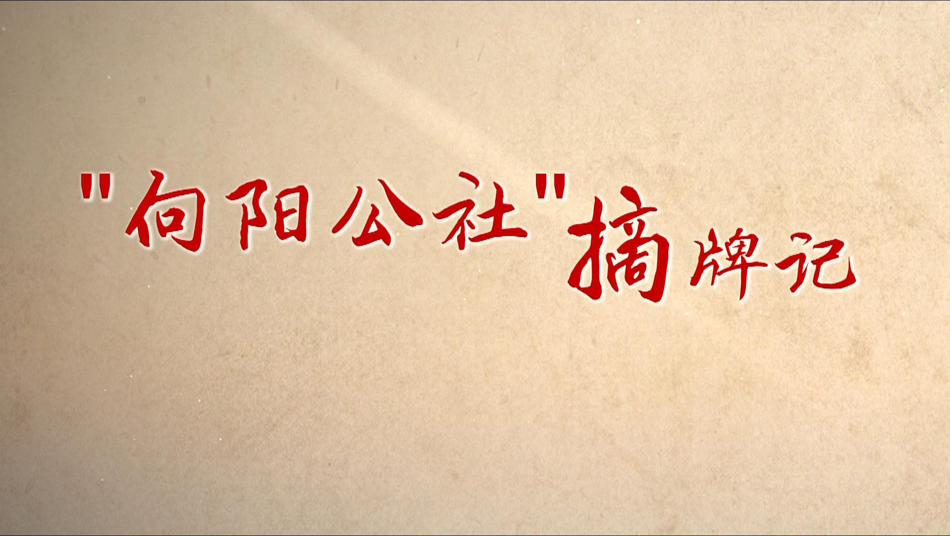 ​纪录片《向阳公社摘牌记》