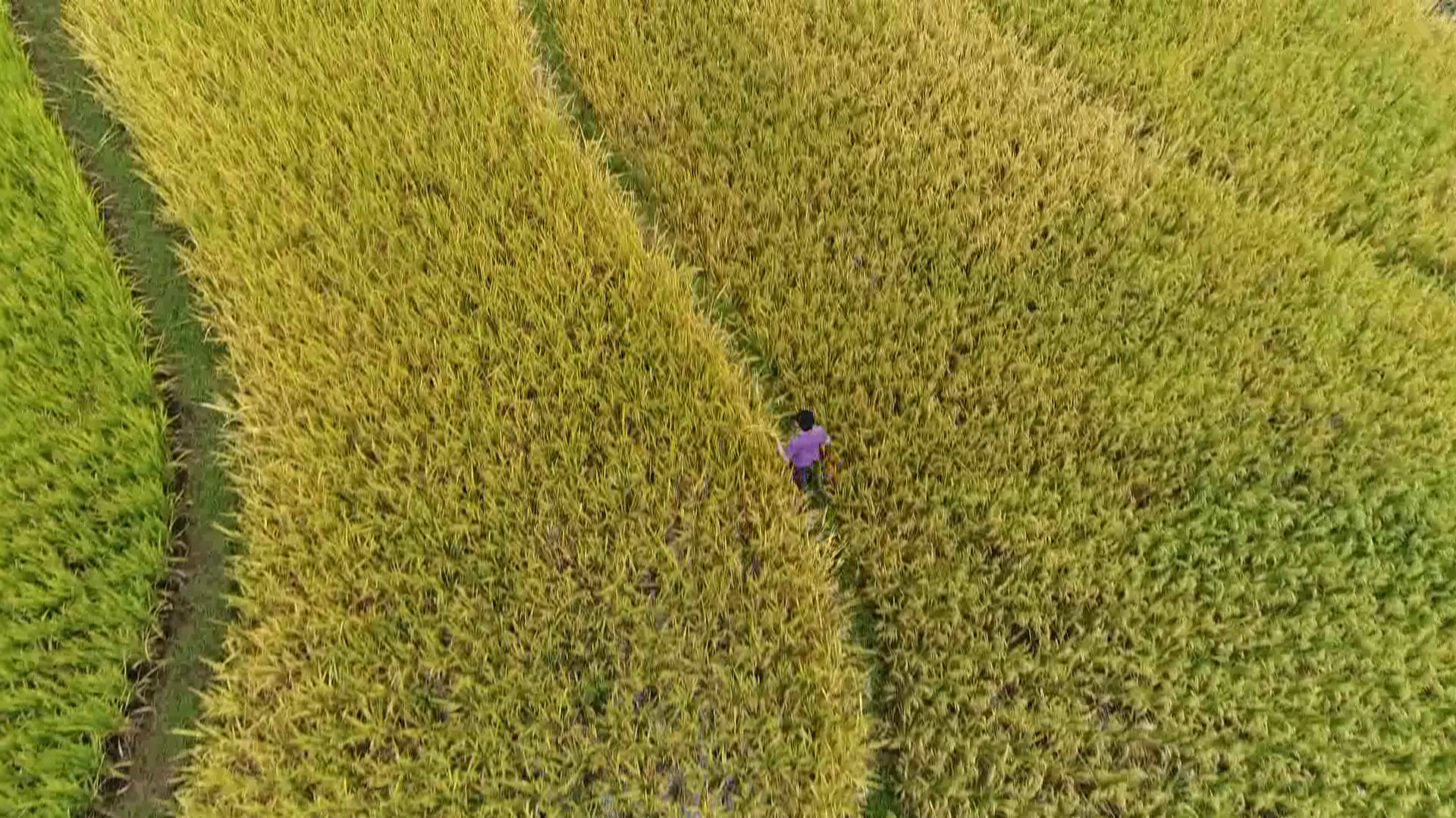 ​​纪录片《第一书记》