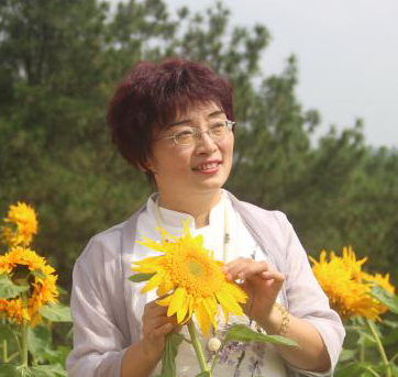 高慧兰